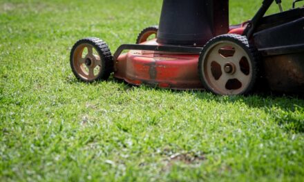 Husqvarna – niezawodne maszyny i narzędzia dla profesjonalistów i pasjonatów ogrodu