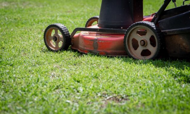 Husqvarna – niezawodne maszyny i narzędzia dla profesjonalistów i pasjonatów ogrodu