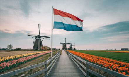 Rynek pracy w Holandii – plusy i minusy dla Polskich pracowników 2026