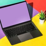 Office 365 licencja – jaki rodzaj subskrypcji wybrać dla domu, firmy lub szkoły